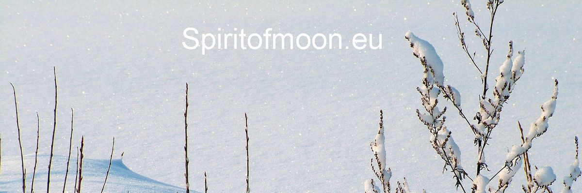spiritofmoon.eu